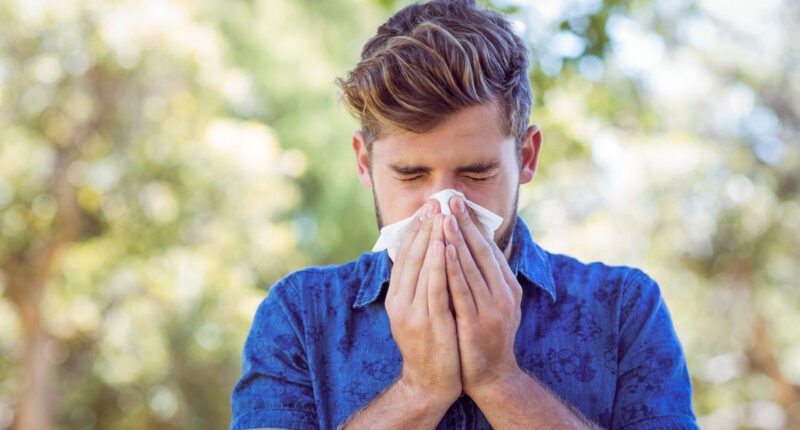 About Allergies