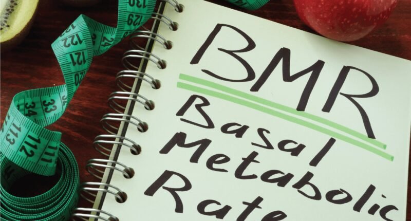 bmr calculator