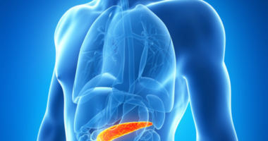 pancreas involved in diabetes