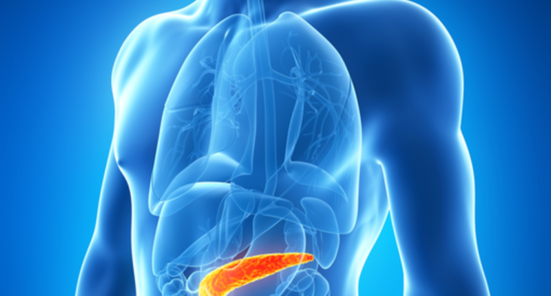 pancreas involved in diabetes