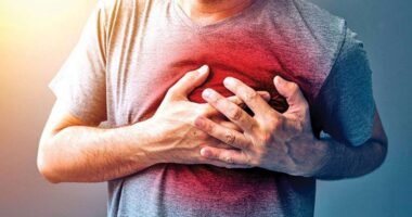Heart Problems and the Heat