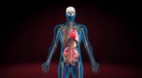 These organs are absolutely essential, and without them, sustaining life would be impossible. However, in the case of paired organs such as the kidneys