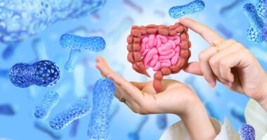 gut microbiota