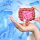 gut microbiota