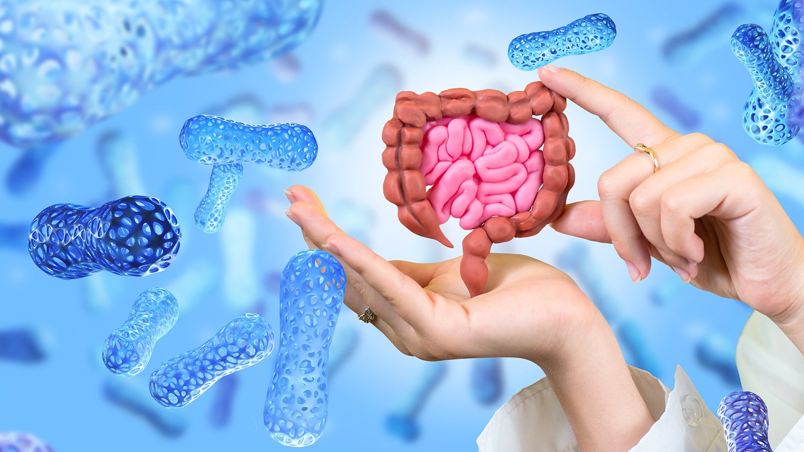 gut microbiota